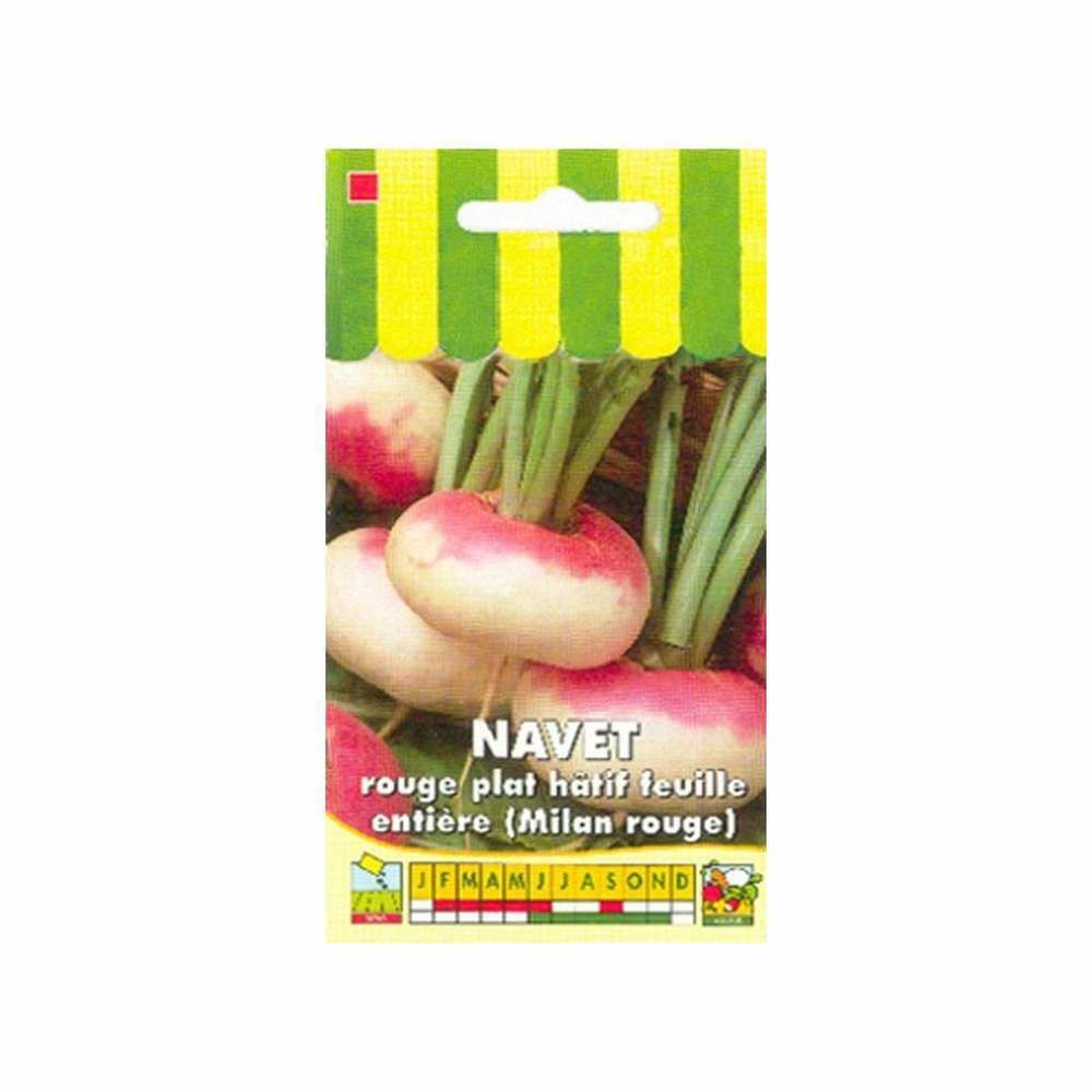 Navet rouge plat hÃ¢tif Ã  feuille entiÃšre
