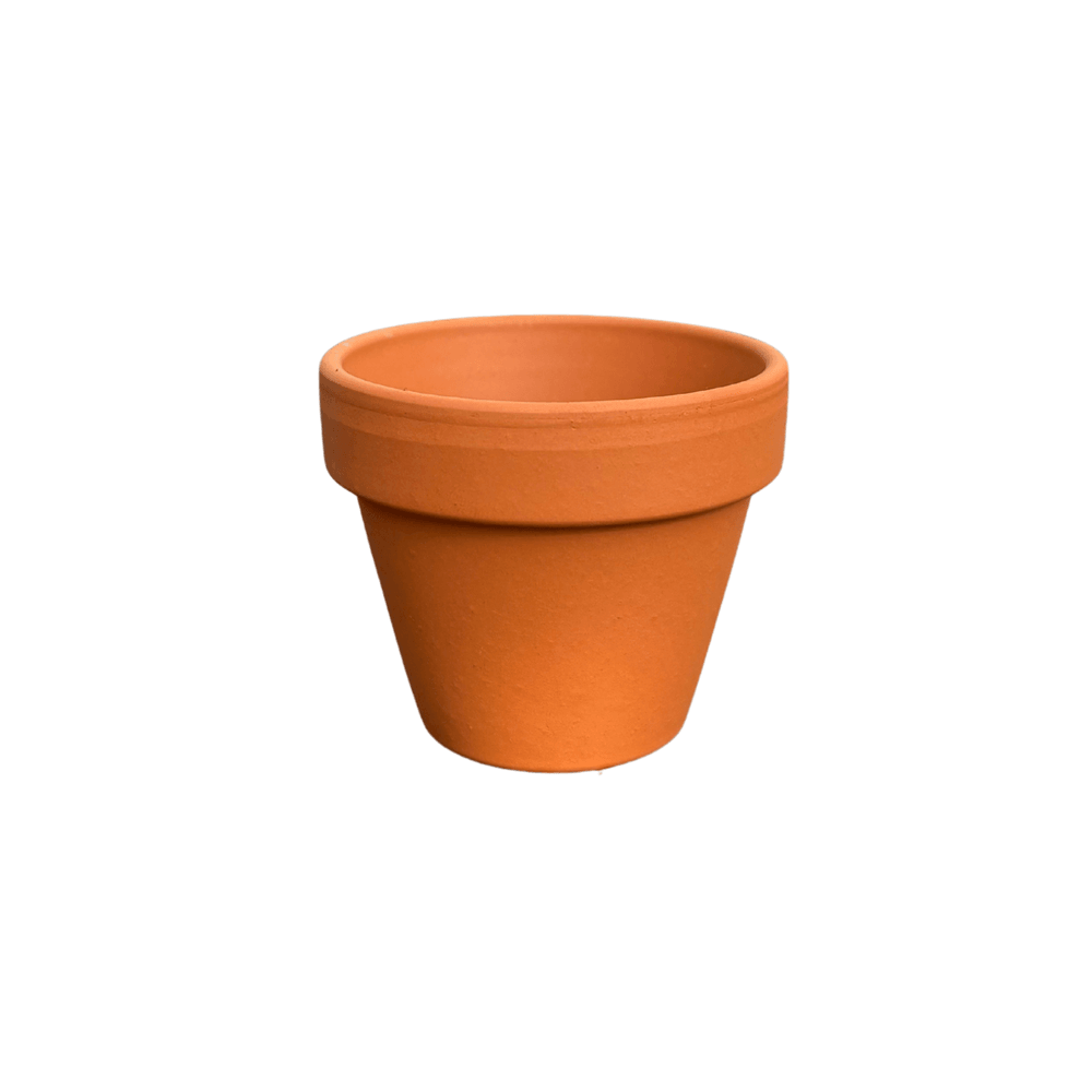 Pot terracotta pour mini plante - ø5,5-7 cm x h10 cm