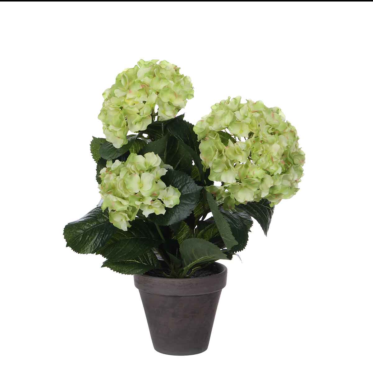 Mica decorations - hortensia artificielle vert en pot h40