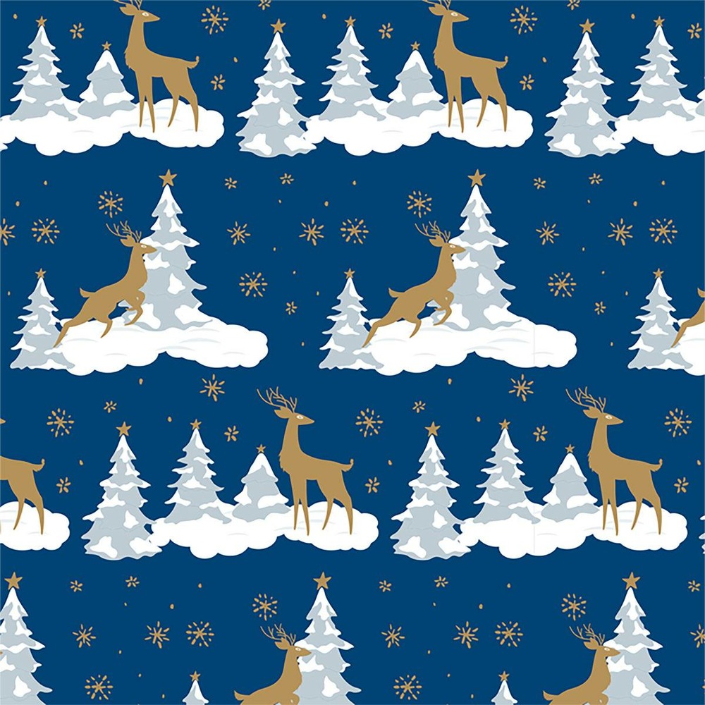 Papier cadeau traditionnel 200x70cm assorti