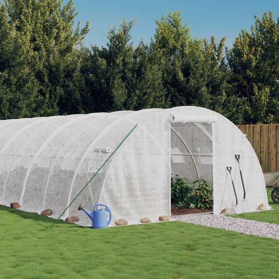 Serre avec cadre en acier blanc 24 m² 6x4x2 m