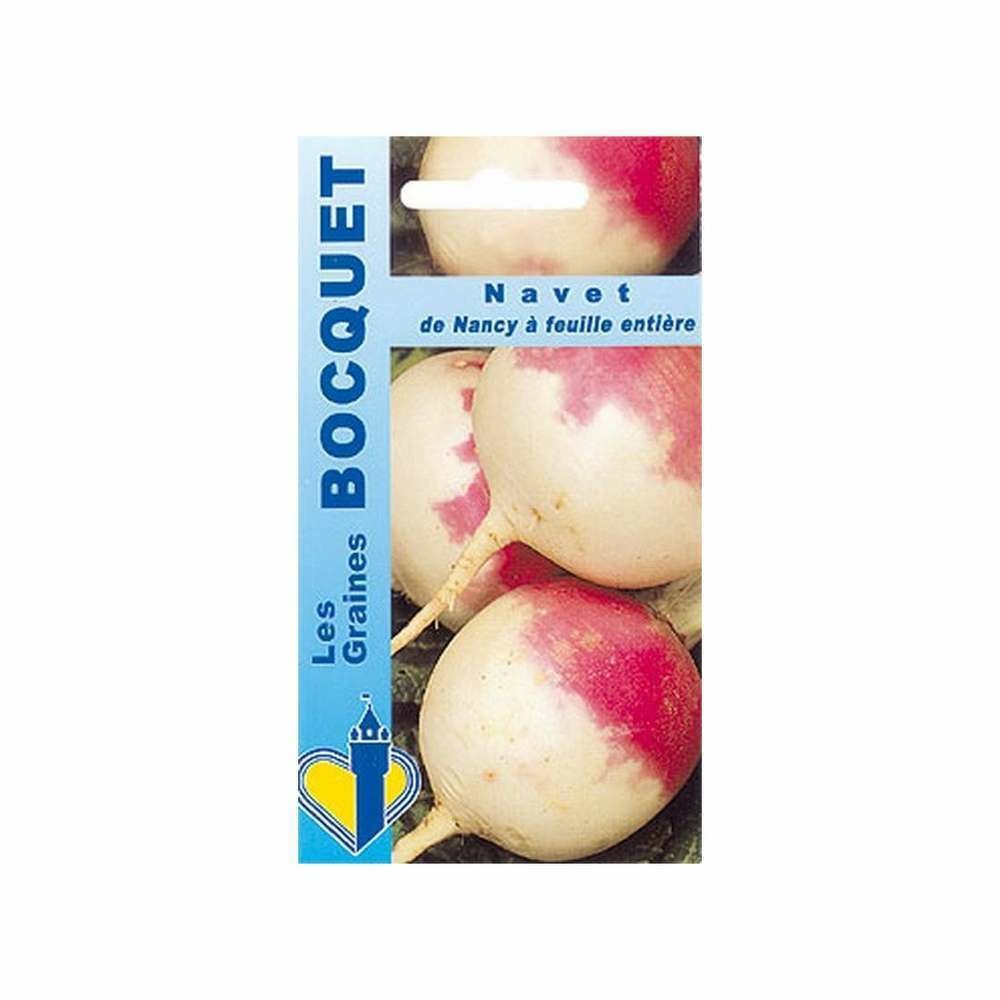 Graines de navet de nancy à feuille entière