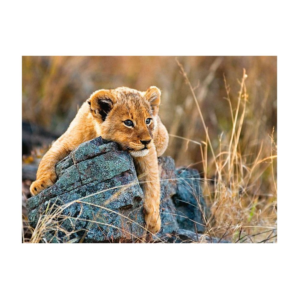 Puzzle 200 p xxl - le petit lionceau