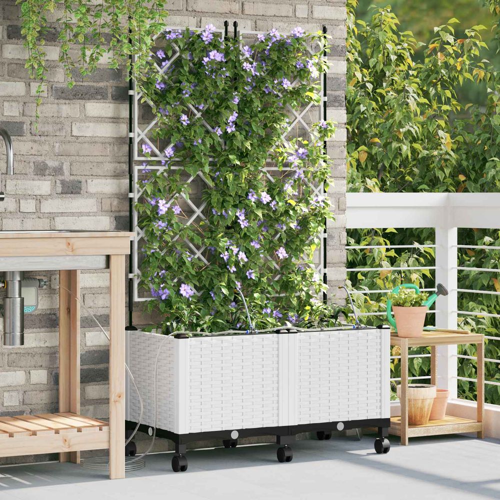Lot jardinières treillis pp système arrosage automatique pour grimpantes 80x40x148cm blanc