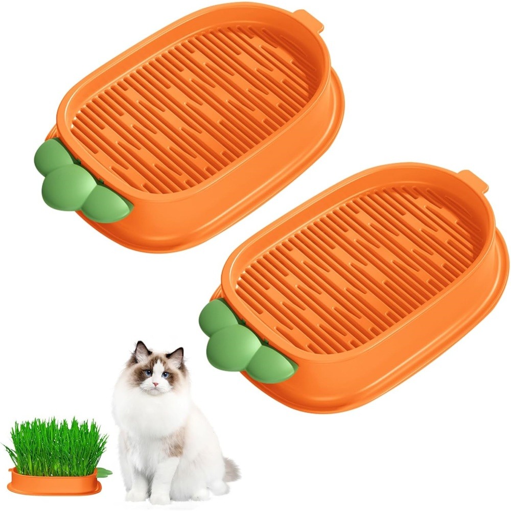 Lot de 2 herbe à chat pour herbe de chat hydroponique avec 10 poches en plastique, matériaux de qualité,