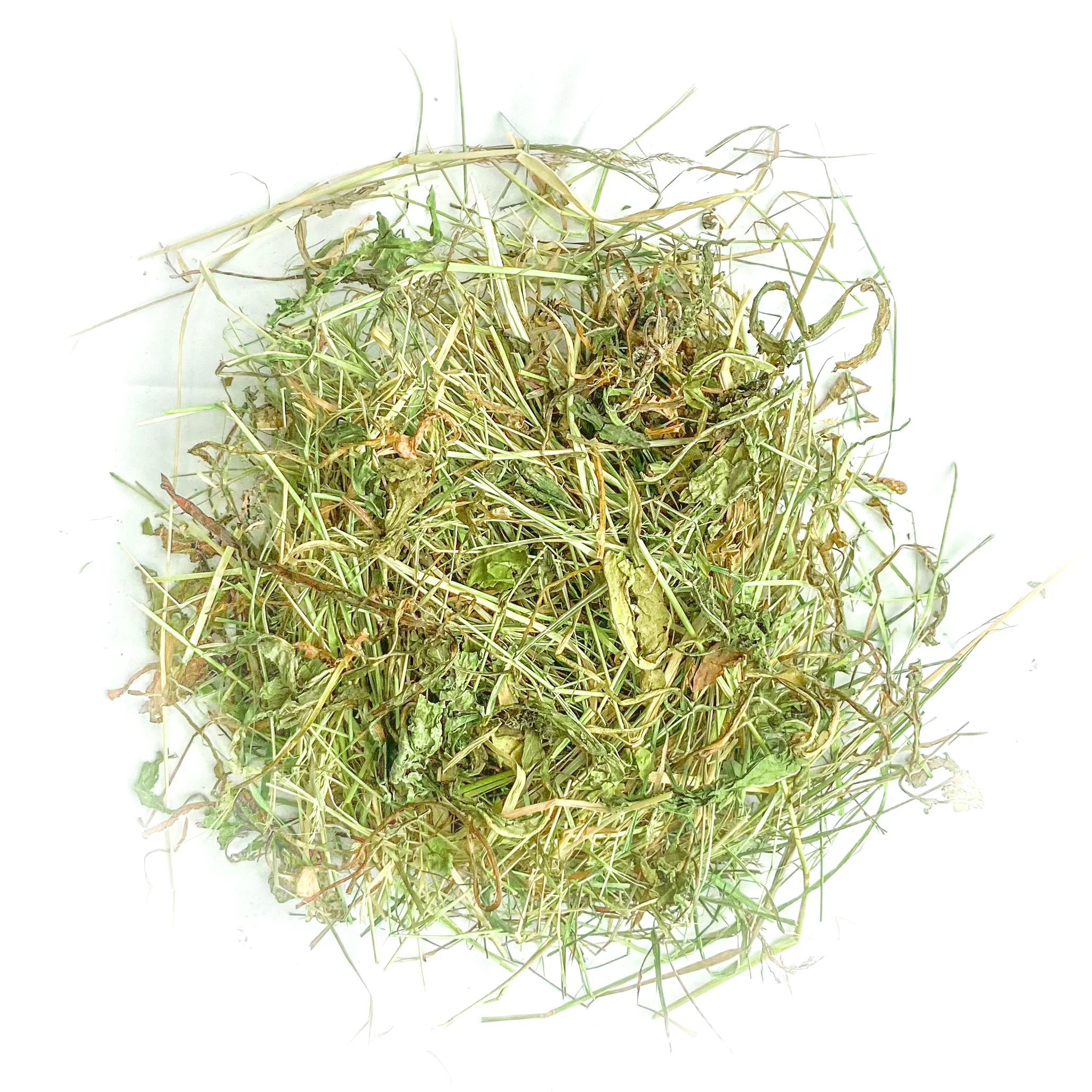 Foin aromatisé aux feuilles de mûrier pour lapins et rongeurs