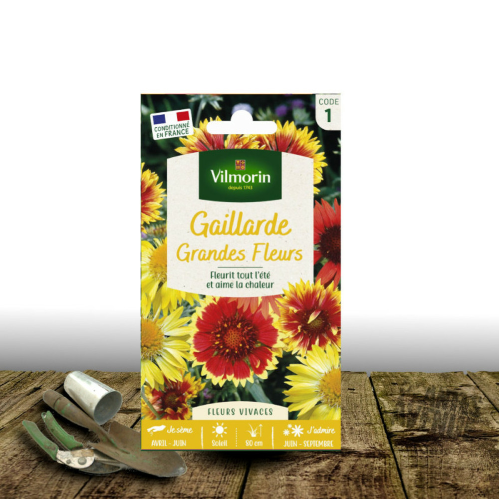 Graines de gaillarde vivace variée - vilmorin sachet