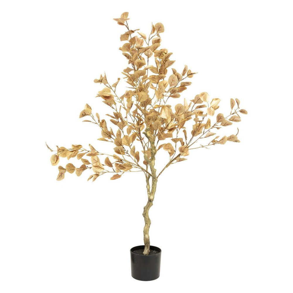 Arbuste euca or pot h120