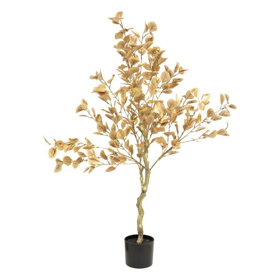 Arbuste euca or pot h120