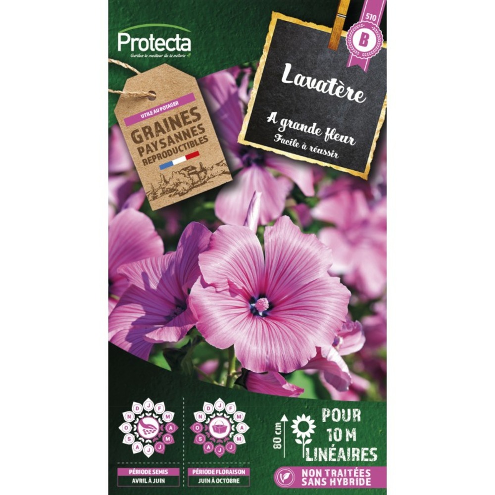 Graines paysannes - lavatère à grande fleur