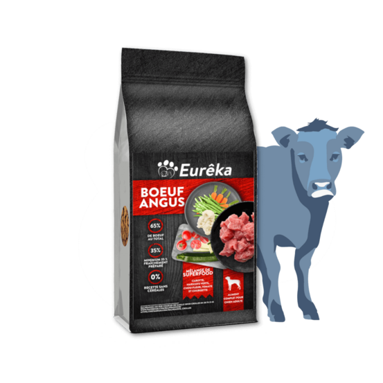 Croquettes chien adulte holistic sans céréales - bœuf angus - 2 kg