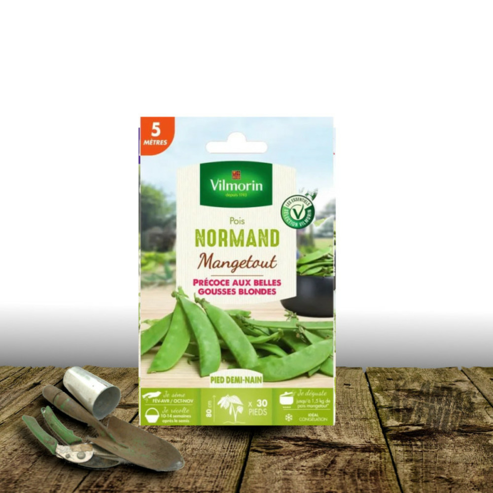 Graines de pois nain mangetout le normand - vilmorin boite - 20 mètres
