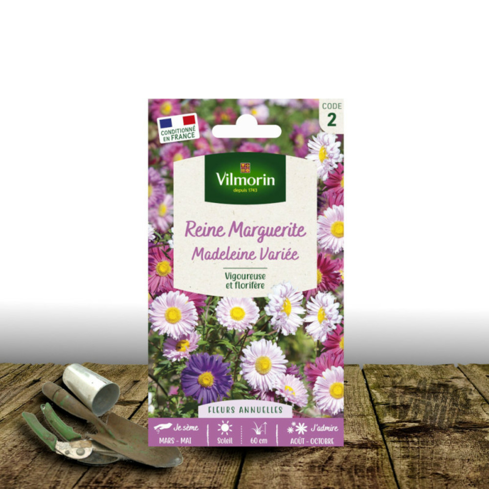 Graines de reine marguerite madeleine variée - vilmorin sachet
