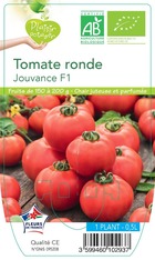 Tomate jouvance f1  -plant ab en  pot 0.5 l-plante du jardin