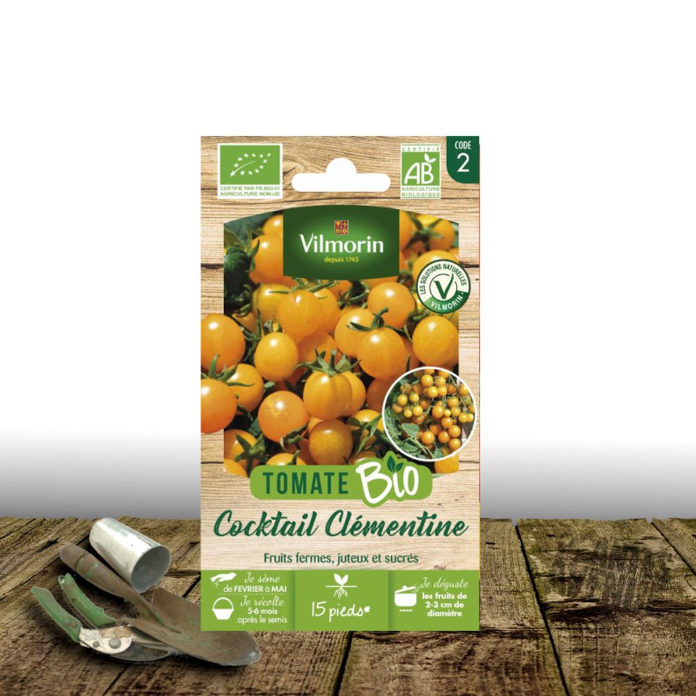 Graines de tomate clémentine - sans traitement - vilmorin sachet