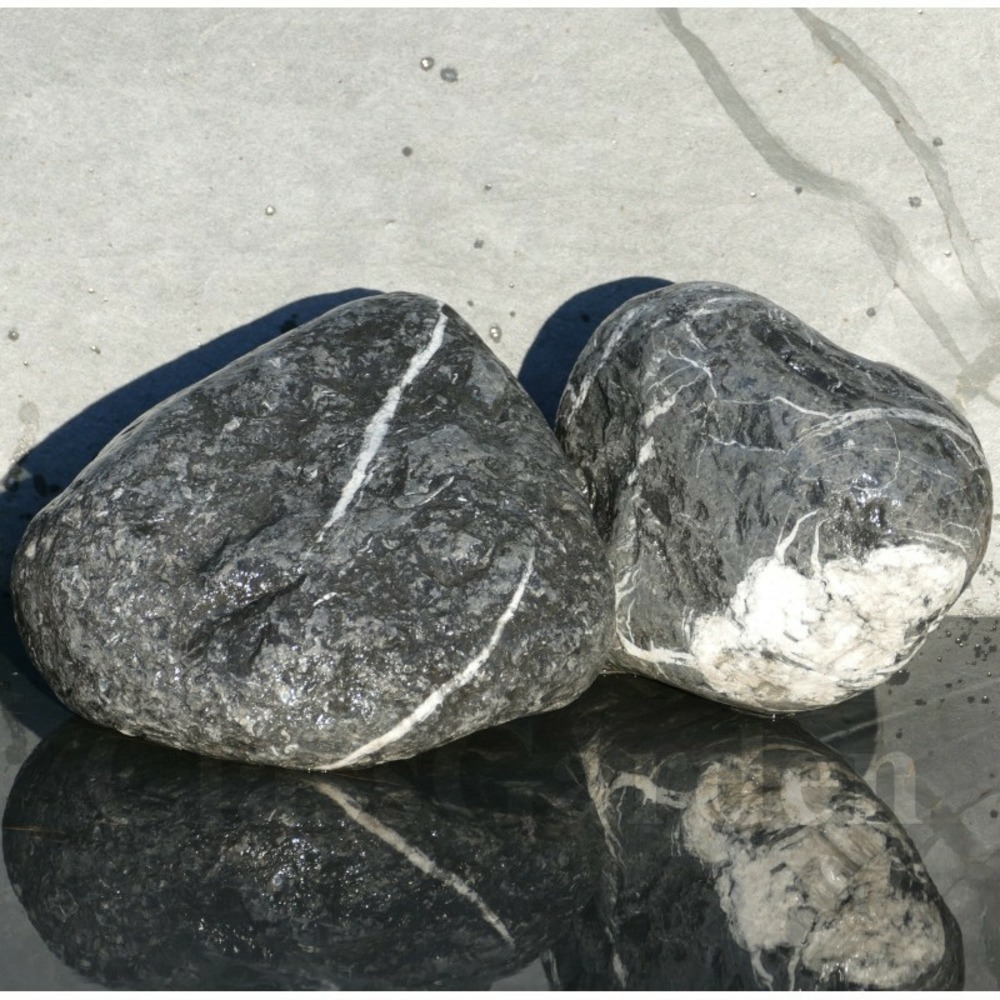 Gros galet noir electric 200-300 - pack 2 galet