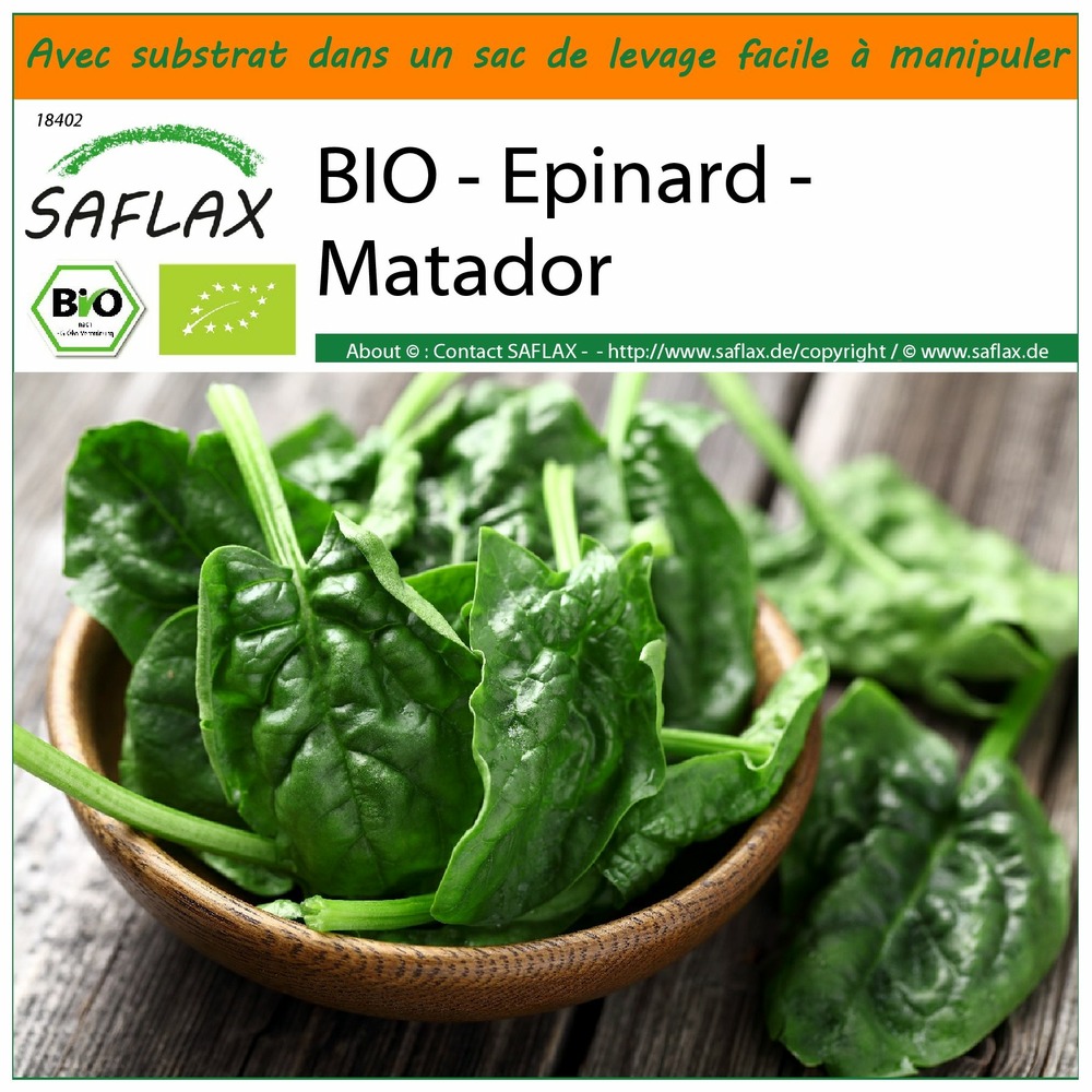 Garden in the bag - bio - epinard - matador - 300 graines - spinacia oleracea