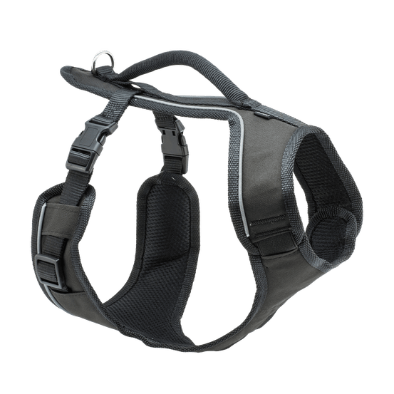 Harnais easysport chien - noir l