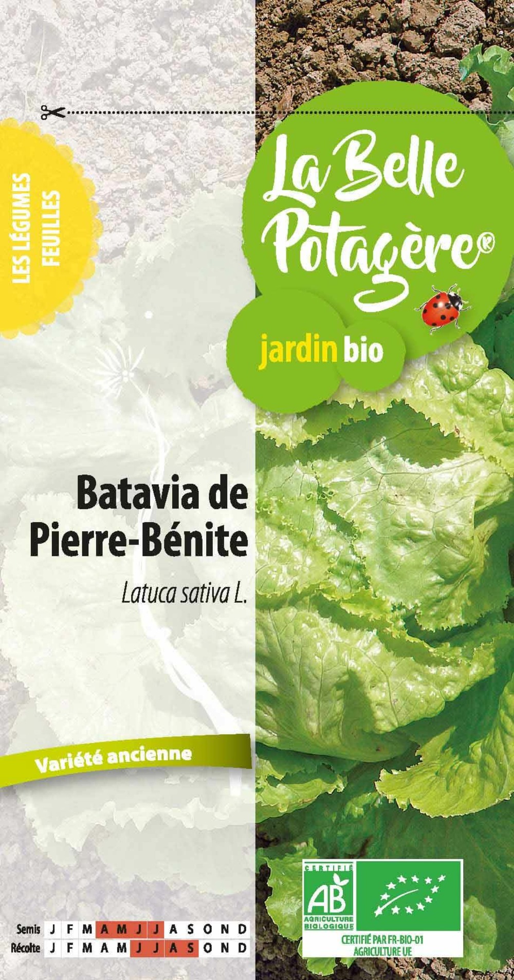 Batavia de pierre-bénite 0,5 g