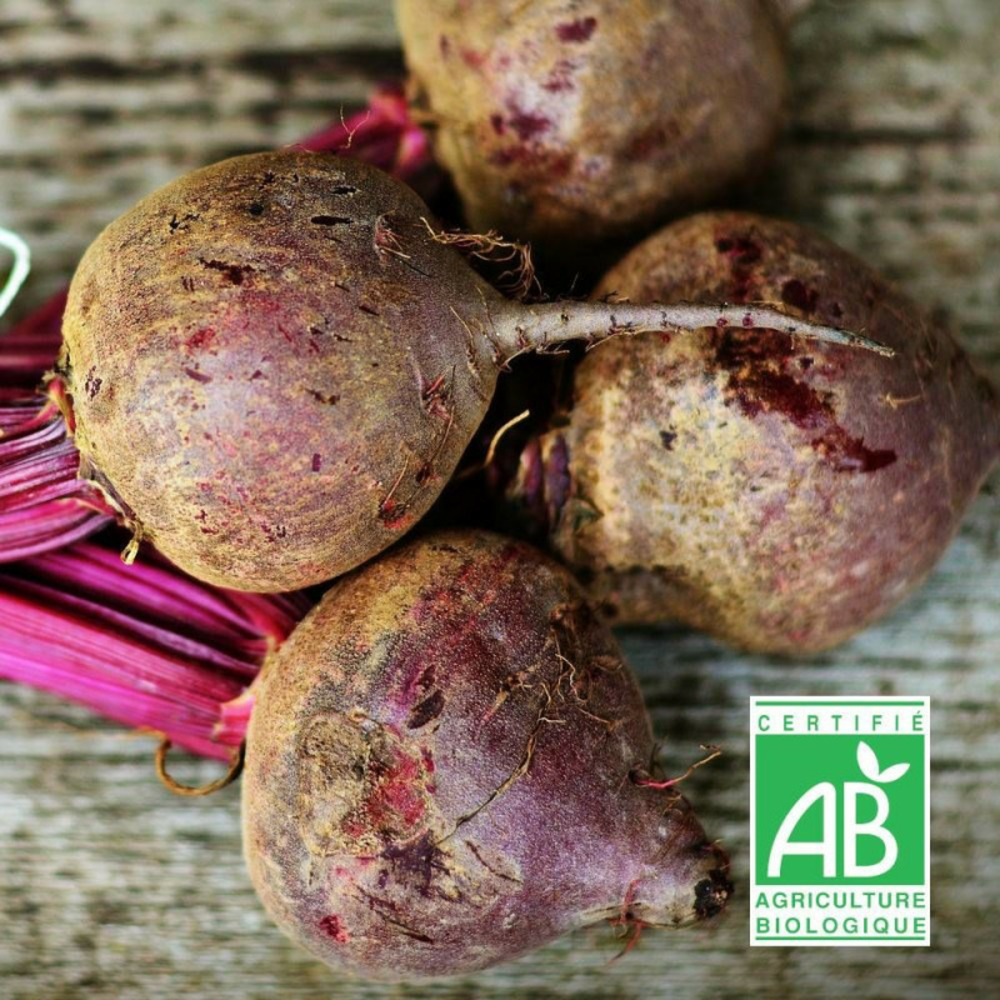 Graines de betterave d'egypte - sans traitement sachet