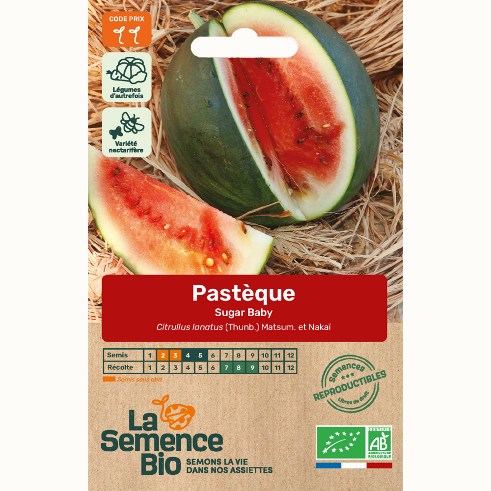 Pastèque sugar baby - graines bio