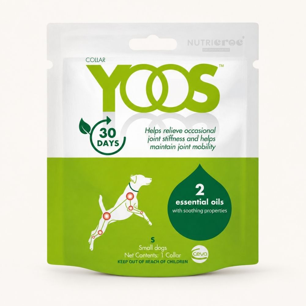 Ceva yoos collier confort articulaire pour chien s et m/l