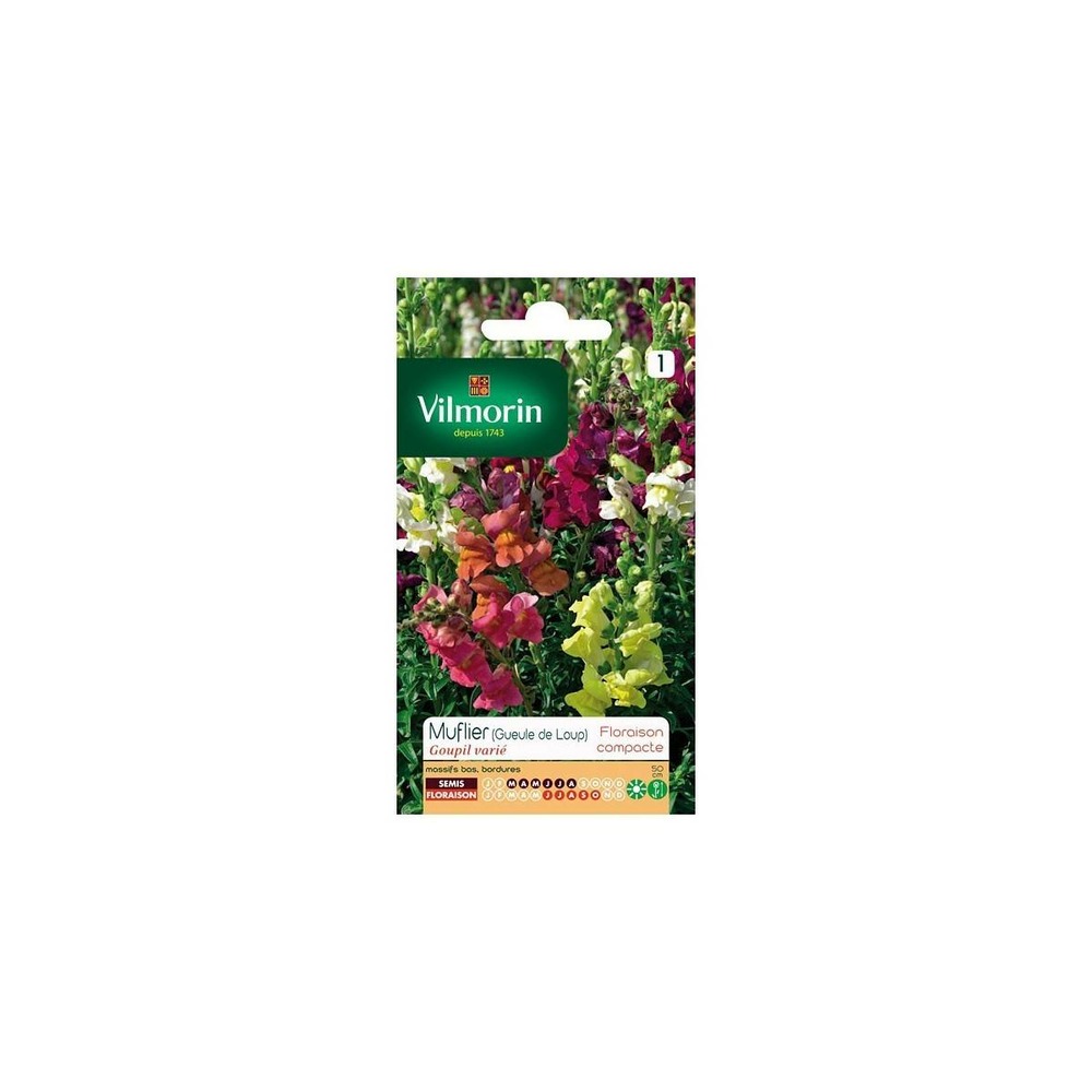 Sachet graines muflier gueule de loup goupil varié