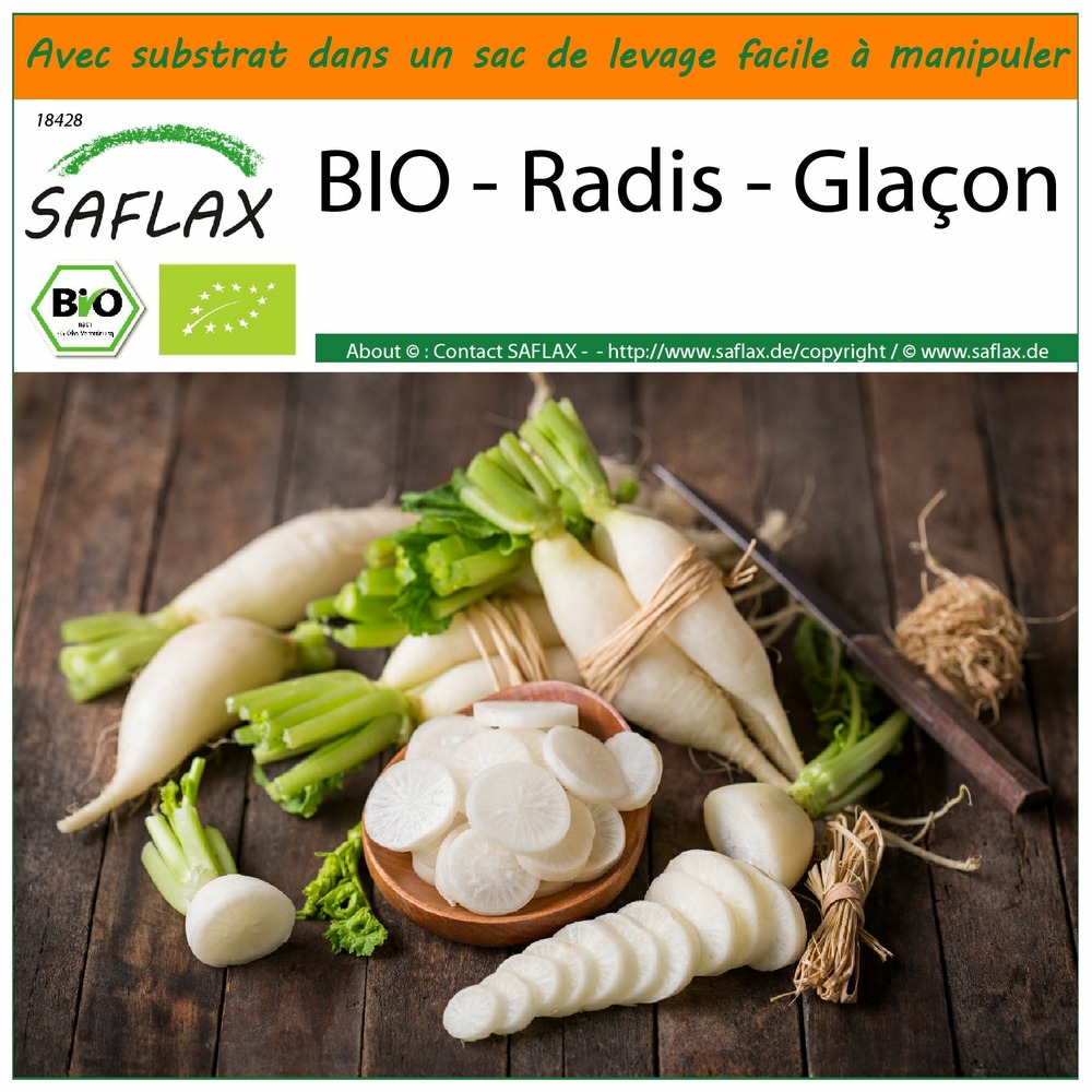 Garden in the bag - bio - radis - glaçon - 100 graines - raphanus sativus