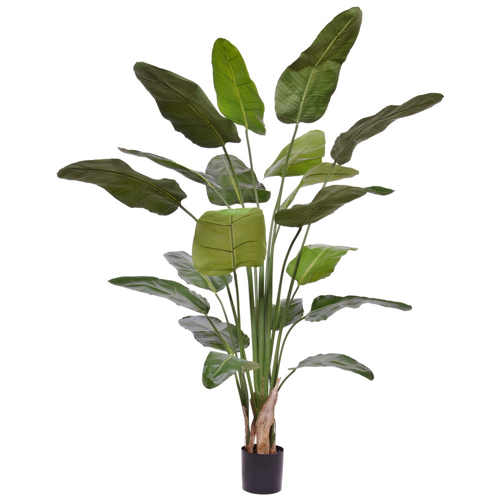 Plante artificielle strelitzia nicolai 230cm deluxe
