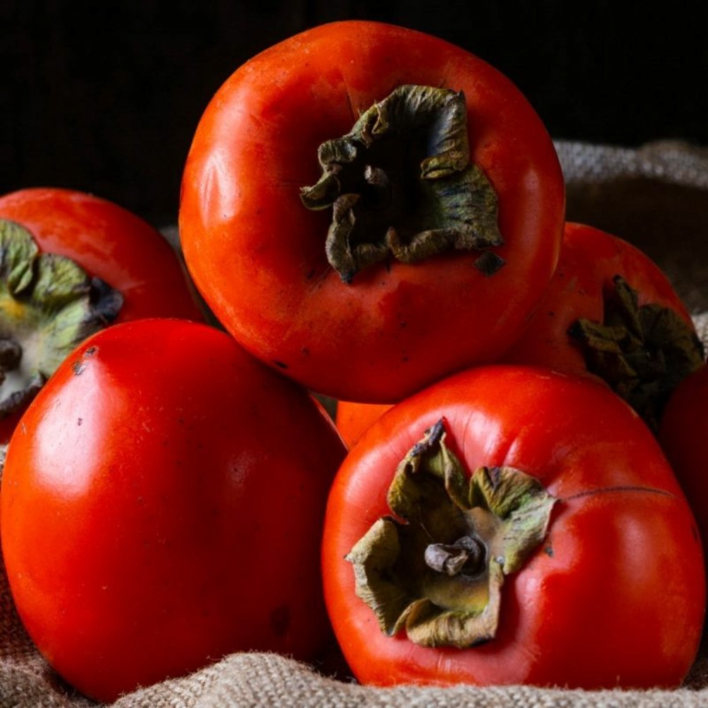 Kaki 'rojo brillante' (diospyros kaki 'rojo brillante')