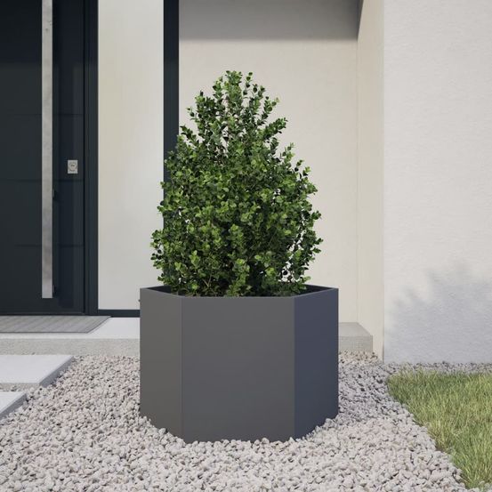 Jardinière surélevée hexagonale en acier pour potager jardin anthracite 69x60cm
