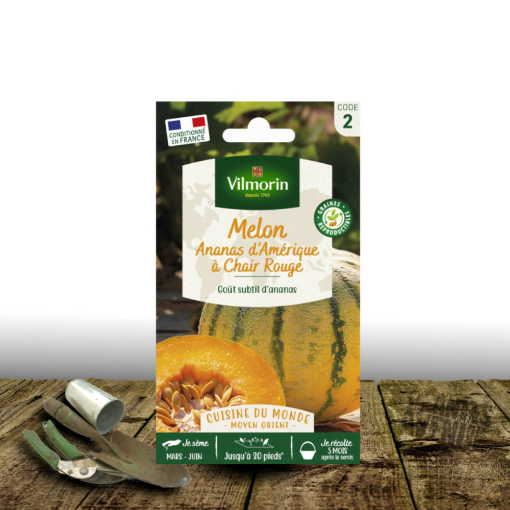 Graines de melon ananas d'amérique à chair rouge - vilmorin sachet
