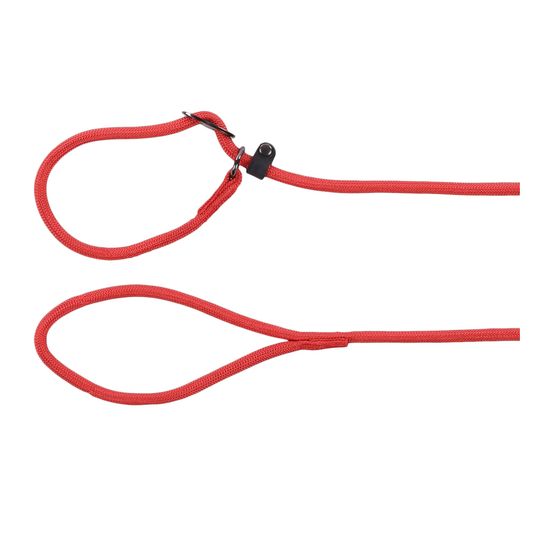 Laisse anti-traction aiden