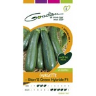 Courgette storr's green hybride f1