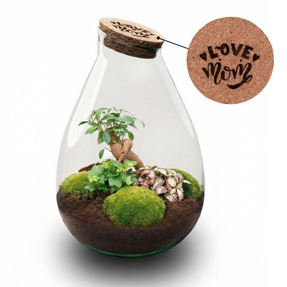 Terrarium à composer goutte en verre recyclé - ø24-h37cm - sans outils - terrarium diy