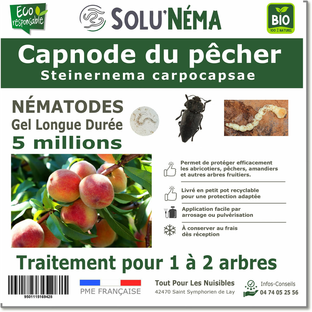 Solunéma - Capnode du pecher - 5 millions de Nématodes Steinernema Carpocapsae (SC)