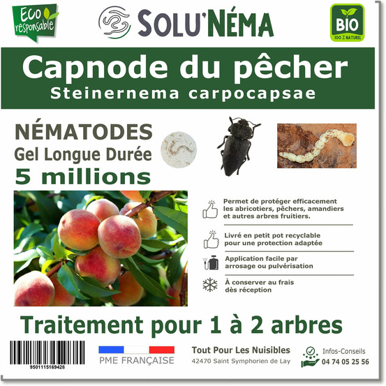 Solunéma - Capnode du pecher - 5 millions de Nématodes Steinernema Carpocapsae (SC)