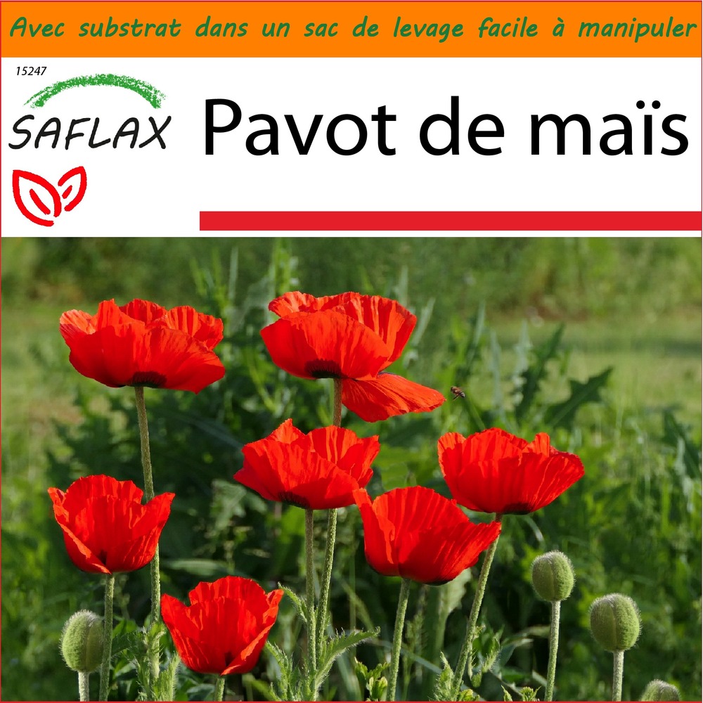 Garden in the bag - pavot de maïs - 27000 graines - papaver rhoeas
