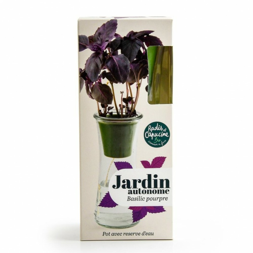Jardin autonome d'aromates pour faire pousser du basilic pourpre bio