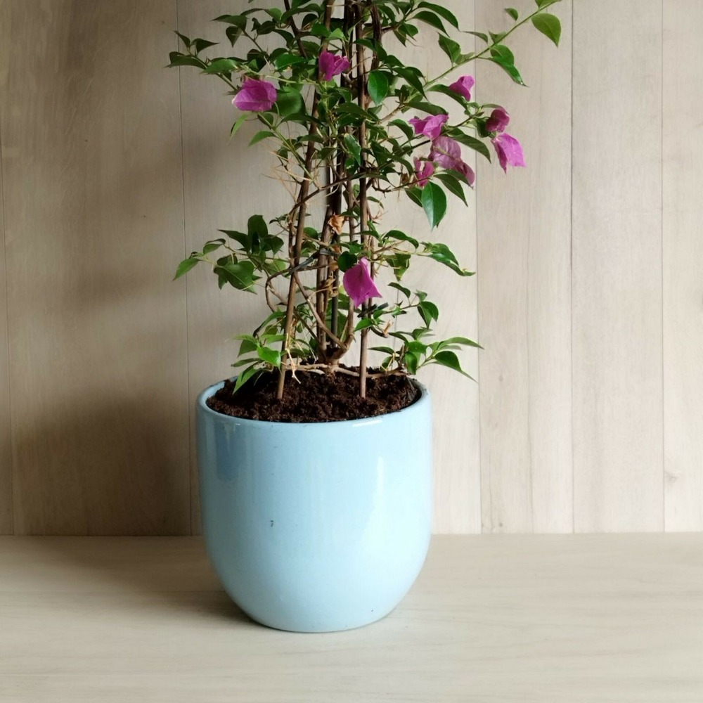 Cache pots-contemporain Bleu celeste - D20