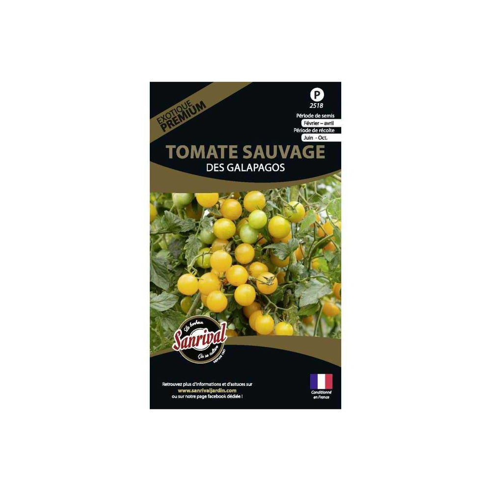 Graines potagères premium tomate des galapagos