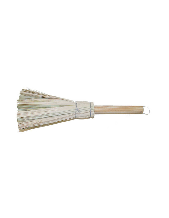 Palm brosse 10x30cm imex el zorro.