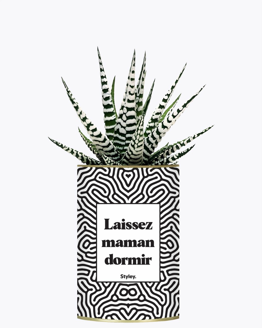 Plante drôle - laissez maman dormir - plante