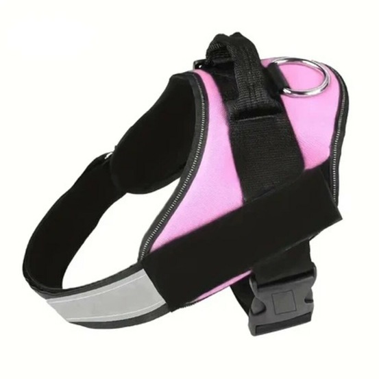 Harnais violet l pour chien, francecroquettes