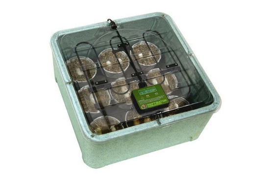 Reptibator incubator, incubateur reptile pour reptiles