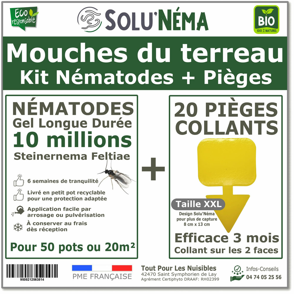 Kit nématodes 10 millions + 20 pièges collants xxl - contre les mouches du terreau - pour traiter 50 pots