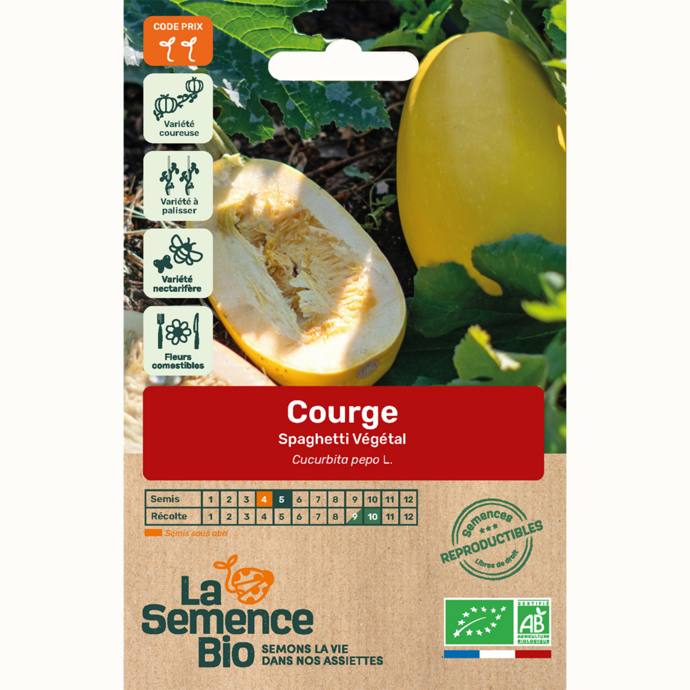 Courge spaghetti végétal - graines bio