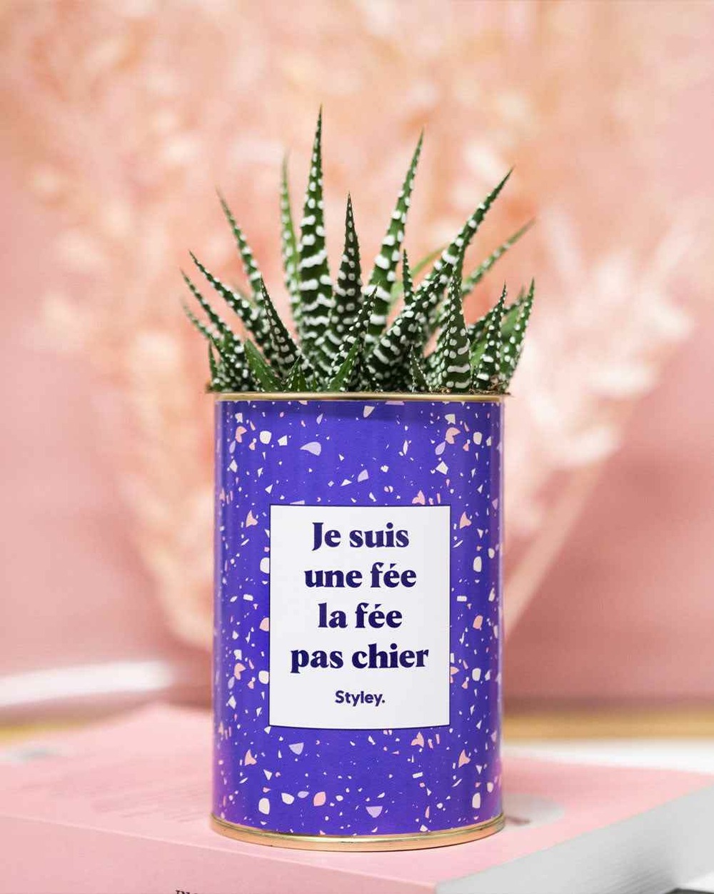 Plante personnalisée - je suis une fée la fée pas chier - cactus