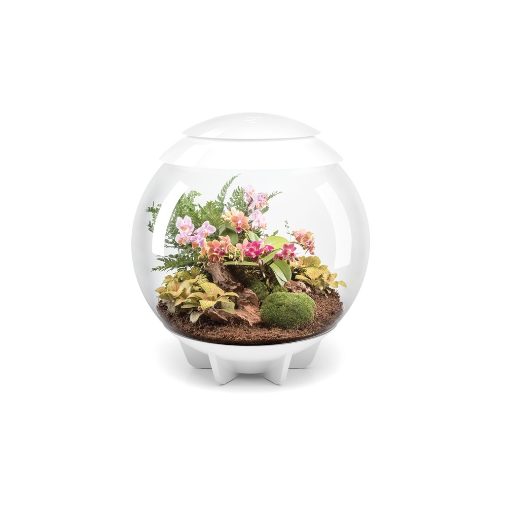 Terrarium décoratif 60l avec cadre blanc - air 60 white