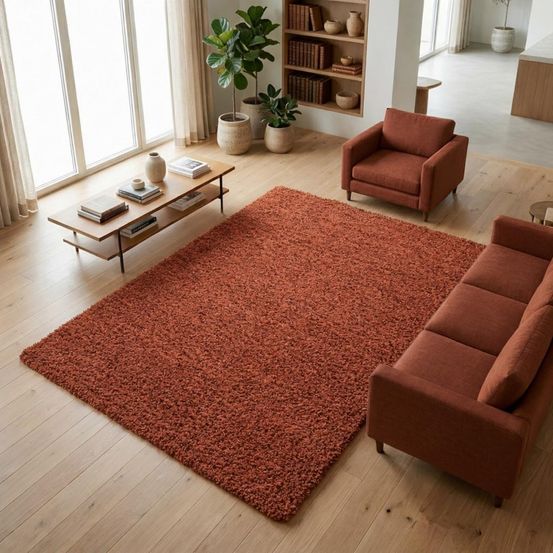 Tapis poils longs shaggy 60x110 rectangle tissé terra motif uni uni l